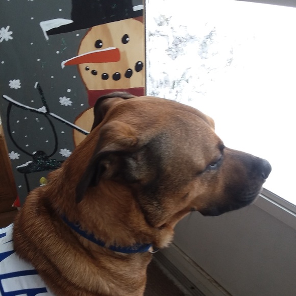 Meet your Posher, Caroline - Picture 4 of 4